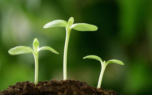 《生命的力量》LRC歌词 《生命的力量》(张蕙兰)歌词555uuu下载