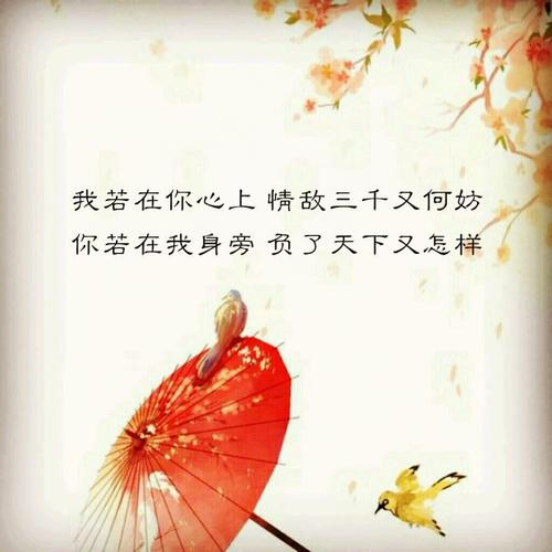 《情敌三千又何妨》LRC歌词 《情敌三千又何妨》(黑龙)歌词555uuu下载