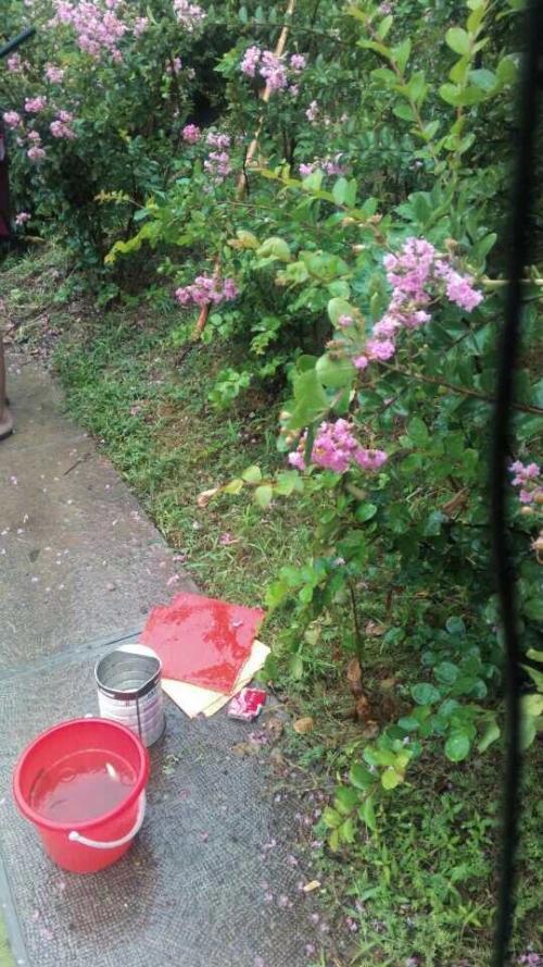 《落花雨》LRC歌词 《落花雨》(蒋蒋)歌词555uuu下载