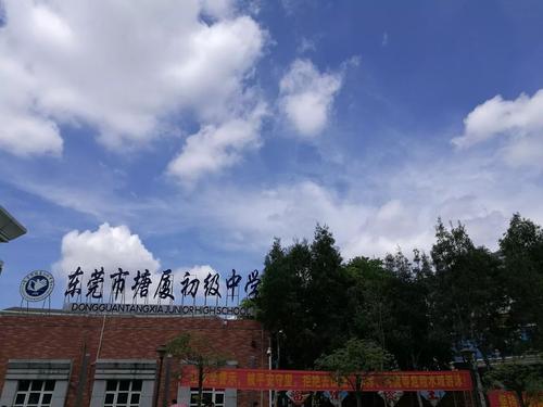 《怨》LRC歌词 《怨》(影儿)歌词555uuu下载