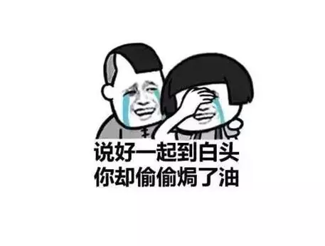 《说好一起到白头》LRC歌词 《说好一起到白头》(樊少华)歌词555uuu下载