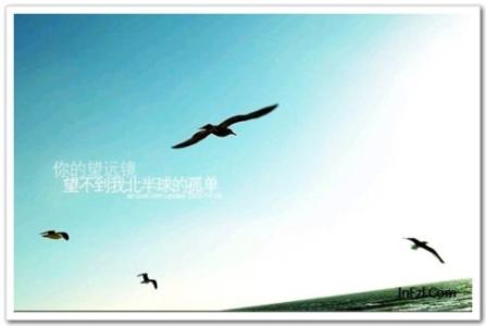 《愚爱》LRC歌词 《愚爱》(欢,子)歌词555uuu下载