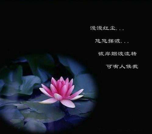 《前世今生的轮回》LRC歌词 《前世今生的轮回》(星月组合)歌词555uuu下载