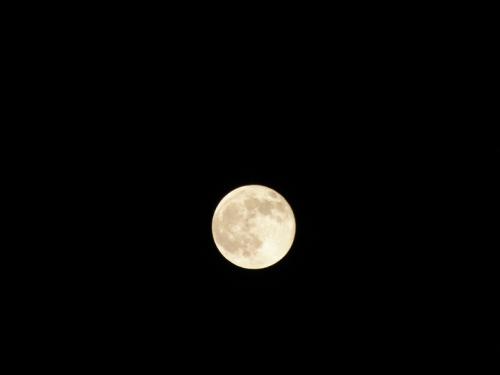《月儿圆》LRC歌词 《月儿圆》(王丽达,汤子星)歌词555uuu下载
