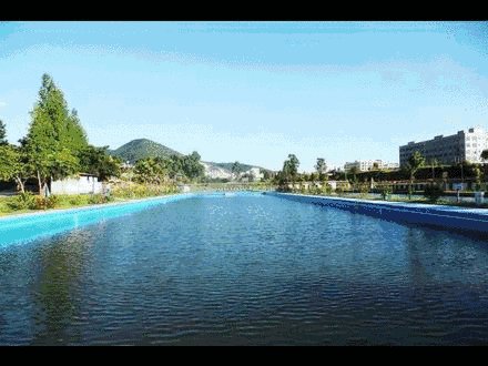 《水仙》LRC歌词 《水仙》(林俊杰)歌词555uuu下载