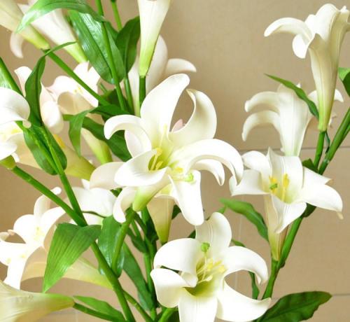 《百合花》LRC歌词 《百合花》(李谷一)歌词555uuu下载
