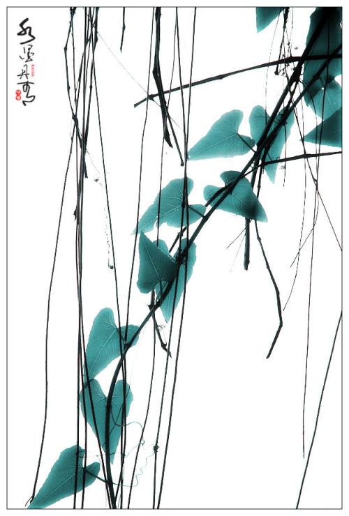 《丹青》LRC歌词 《丹青》(江堰)歌词555uuu下载