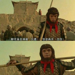 《你不是孙悟空》LRC歌词 《你不是孙悟空》(苏莹惠)歌词555uuu下载