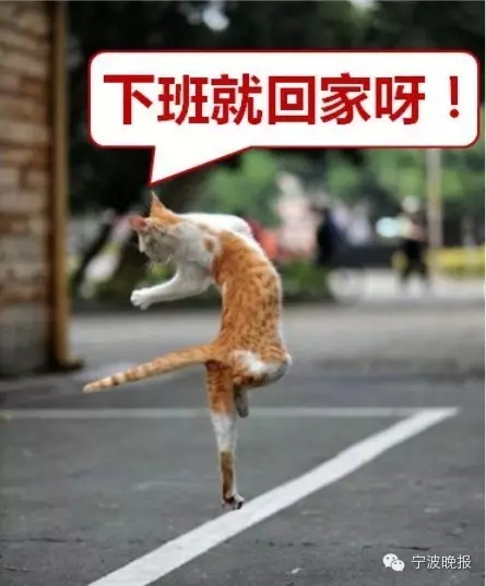 《早日回家》LRC歌词 《早日回家》(陈香水)歌词555uuu下载