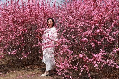 《花开情更浓》LRC歌词 《花开情更浓》(红蔷薇)歌词555uuu下载