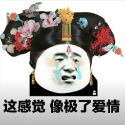 《像极了爱情》(威仔/阿夏)歌词555uuu下载