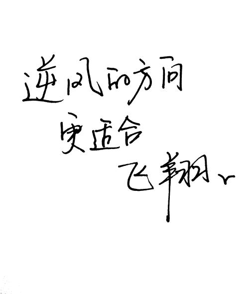 《逆风中翱翔》LRC歌词 《逆风中翱翔》(王浩西)歌词555uuu下载