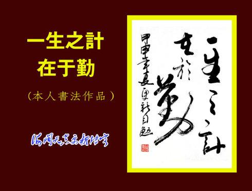 《一生之计在于情》LRC歌词 《一生之计在于情》(任妙音)歌词555uuu下载