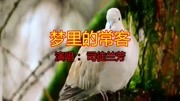 《梦里的常客》LRC歌词 《梦里的常客》(司徒兰芳)歌词555uuu下载
