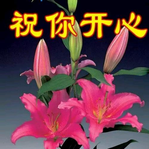 《玛尼情歌 升级版》LRC歌词 《玛尼情歌 升级版》(上官红燕)歌词555uuu下载