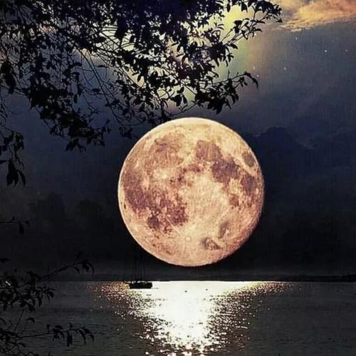 《星夜的离别》LRC歌词 《星夜的离别》(黄乙玲)歌词555uuu下载
