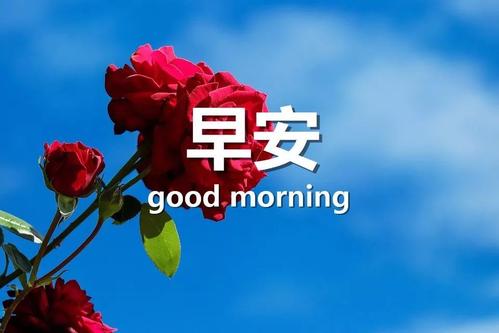 《他是你的幸福》LRC歌词 《他是你的幸福》(萧磊)歌词555uuu下载