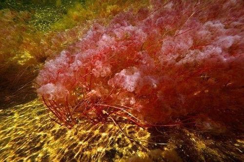 《你走之后的雨季》LRC歌词 《你走之后的雨季》(en)歌词555uuu下载