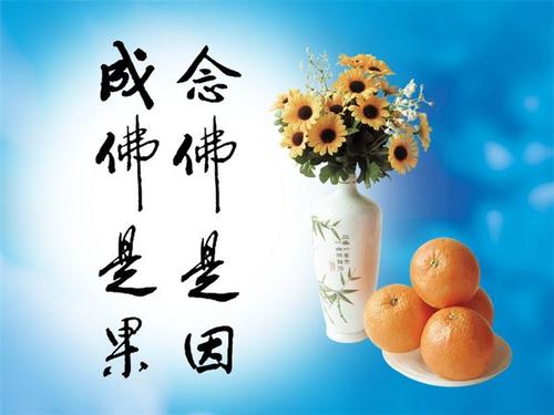 《愿解如来真实义》LRC歌词 《愿解如来真实义》(戴妮)歌词555uuu下载