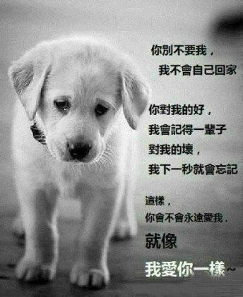 《一言惊醒梦中人》LRC歌词 《一言惊醒梦中人》(彭羚)歌词555uuu下载