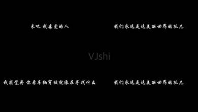 《美丽世界的孤儿（live）》(耿斯汉)歌词555uuu下载