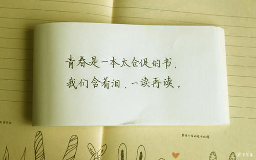 《青春是一本仓促的书》LRC歌词 《青春是一本仓促的书》(马雨阳)歌词555uuu下载