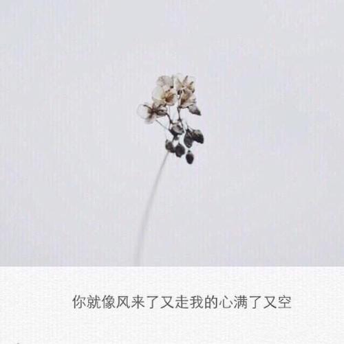 《你像风来了》LRC歌词 《你像风来了》(金玟岐)歌词555uuu下载