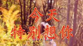 《今天特别想你》LRC歌词 《今天特别想你》(天籁天)歌词555uuu下载
