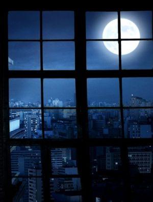 《窗外的月光》LRC歌词 《窗外的月光》(林俊吉&洪百慧)歌词555uuu下载