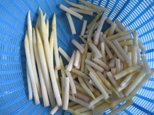 《莲藕心》LRC歌词 《莲藕心》(谢莉婷)歌词555uuu下载