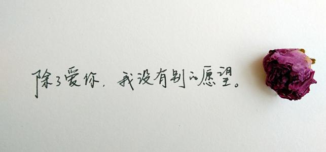 《爱你到老的愿望》LRC歌词 《爱你到老的愿望》(冷漠)歌词555uuu下载