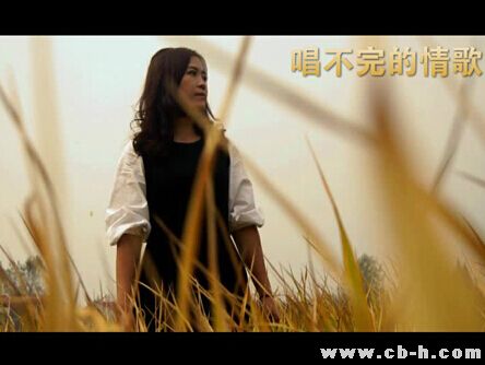 《唱不完的情 唱不完的爱》LRC歌词 《唱不完的情 唱不完的爱》(谭艳)歌词555uuu下载