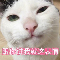 《转圈圈》LRC歌词 《转圈圈》(赵梓滢)歌词555uuu下载
