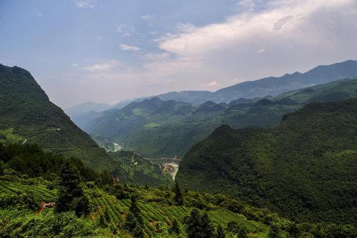 《大山深处》LRC歌词 《大山深处》(阿斯满)歌词555uuu下载