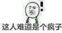 《疯子人》LRC歌词 《疯子人》(Sucker)歌词555uuu下载