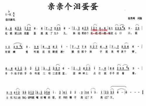 《泪蛋蛋》(九天乐队)歌词555uuu下载