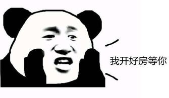 《等你懂了》LRC歌词 《等你懂了》(安又琪)歌词555uuu下载