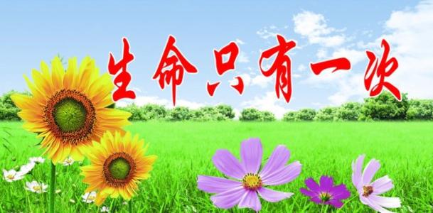 《生命中的那些人》LRC歌词 《生命中的那些人》(王宏天)歌词555uuu下载