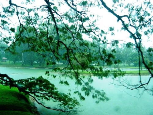 《心湖雨又风》LRC歌词 《心湖雨又风》(杨蔓)歌词555uuu下载