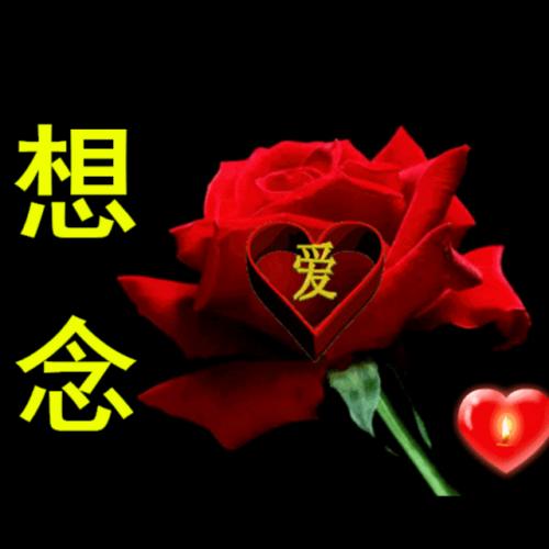 《梦里想你多少回》LRC歌词 《梦里想你多少回》(雨露)歌词555uuu下载