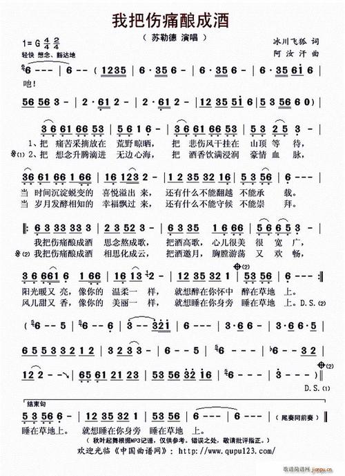 《我把伤痛酿成酒》(苏勒德)歌词555uuu下载