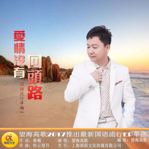 《爱情没有回头路》(望海高歌)歌词555uuu下载