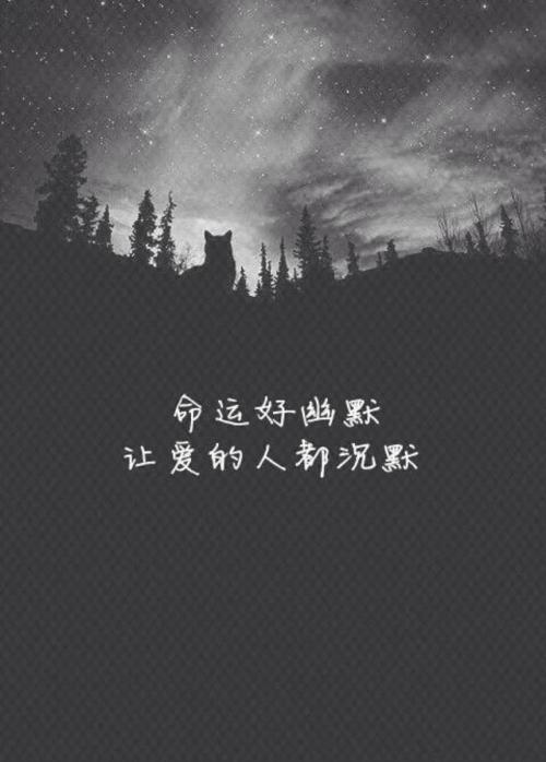 《沉默等于零》LRC歌词 《沉默等于零》(六折真人)歌词555uuu下载