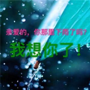 《下雨的时候我想你》LRC歌词 《下雨的时候我想你》(莎妞妞)歌词555uuu下载