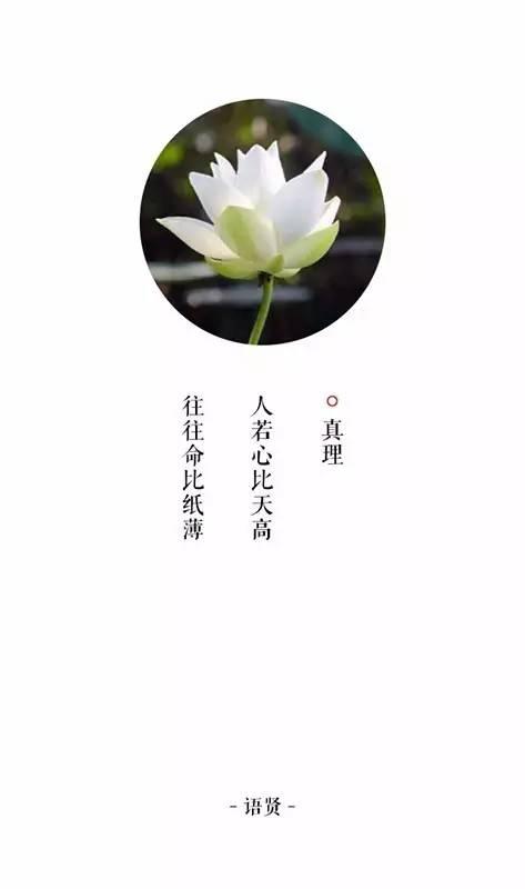 《日頭若見天》LRC歌词 《日頭若見天》(韓寶儀)歌词555uuu下载