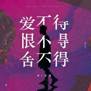《爱不得 恨不得 舍不得 (Live)》LRC歌词 《爱不得 恨不得 舍不得 (Live)》(胡彦斌)歌词555uuu下载