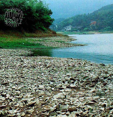 《美丽的上林湖》LRC歌词 《美丽的上林湖》(励雯雯)歌词555uuu下载