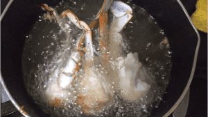 《细数》LRC歌词 《细数》(余荃斌)歌词555uuu下载