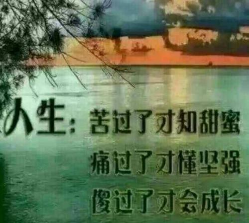 《爱上你是我一生犯的错》(望海高歌,王爱华)歌词555uuu下载