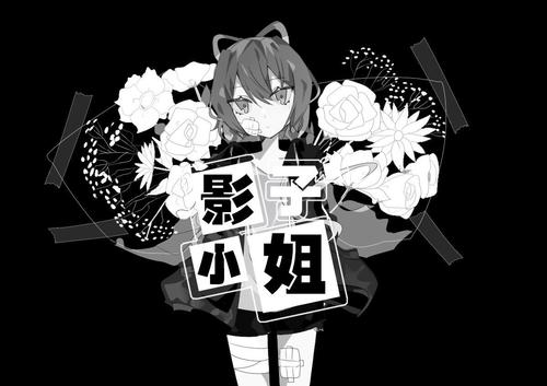《影子小姐》LRC歌词 《影子小姐》(封茗囧菌)歌词555uuu下载